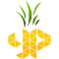 Yellow Pineapple Technologies L.L.C logo, Yellow Pineapple Technologies L.L.C contact details