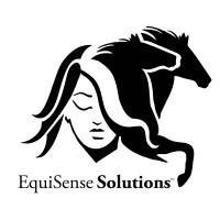 EquiSense Solutions LLC logo, EquiSense Solutions LLC contact details