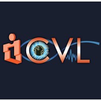 iCVL - The interdisciplinary Computational Vision Lab logo, iCVL - The interdisciplinary Computational Vision Lab contact details