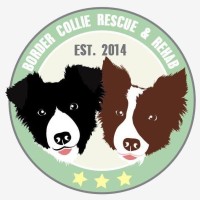 Border Collie Rescue & Rehab logo, Border Collie Rescue & Rehab contact details