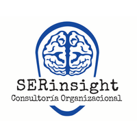 SERinsight Consultoría Organizacional logo, SERinsight Consultoría Organizacional contact details