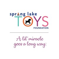 SPRING LAKE TOYS FOUNDATION INC logo, SPRING LAKE TOYS FOUNDATION INC contact details