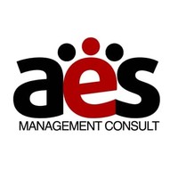 AES Consulting & Business Services LLC logo, AES Consulting & Business Services LLC contact details