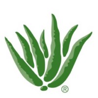 Aloe Up Sun and Skin Care Products logo, Aloe Up Sun and Skin Care Products contact details