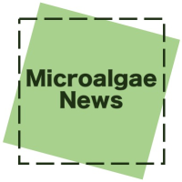 Microalgae News logo, Microalgae News contact details