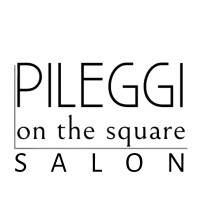 Pileggi On The Square logo, Pileggi On The Square contact details