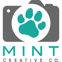 Mint Creative Co logo, Mint Creative Co contact details