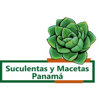 Suculentas y Macetas Panamá logo, Suculentas y Macetas Panamá contact details