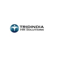 Tridindia Hr Solutions logo, Tridindia Hr Solutions contact details