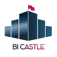 BI Castle Information Technologies logo, BI Castle Information Technologies contact details