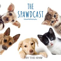 The Spawdcast logo, The Spawdcast contact details