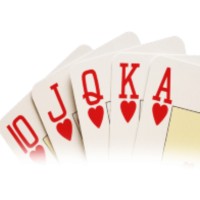 Always Fun Casinos logo, Always Fun Casinos contact details