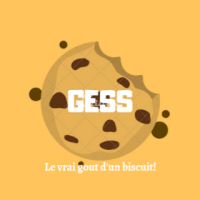 GESS logo, GESS contact details