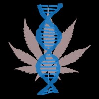 The Cannabinoid Research Institute logo, The Cannabinoid Research Institute contact details