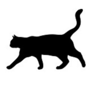 GATO IT logo, GATO IT contact details