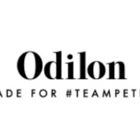 Odilon International logo, Odilon International contact details