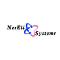 NesEli Systems logo, NesEli Systems contact details