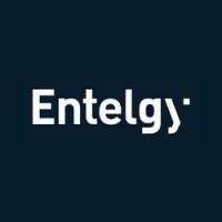 Entelgy Brasil logo, Entelgy Brasil contact details