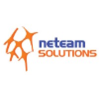 Neteam Solutions Inc logo, Neteam Solutions Inc contact details