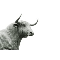 Bull Group logo, Bull Group contact details