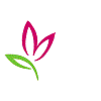 Desert Floral Importers logo, Desert Floral Importers contact details