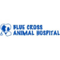 Blue Cross Animal Hospital logo, Blue Cross Animal Hospital contact details