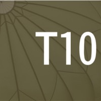 T10 Advisors logo, T10 Advisors contact details