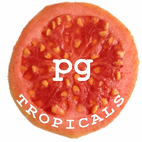 PG Tropicals logo, PG Tropicals contact details