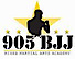 905 BJJ & MMA Academy logo, 905 BJJ & MMA Academy contact details