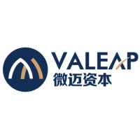 Valeap Capital Limited logo, Valeap Capital Limited contact details