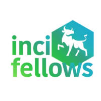 İnci Investing Fellows logo, İnci Investing Fellows contact details