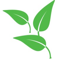 Little Leaves Behavioral Services logo, Little Leaves Behavioral Services contact details