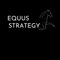 Equus Strategy LLC logo, Equus Strategy LLC contact details