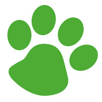 GreenDog Foundation logo, GreenDog Foundation contact details