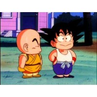 Dragon Ball logo, Dragon Ball contact details