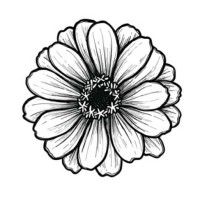 FlowerPublish logo, FlowerPublish contact details