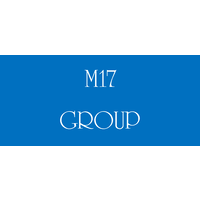 M17 GROUP logo, M17 GROUP contact details