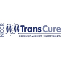 NCCR TransCure logo, NCCR TransCure contact details