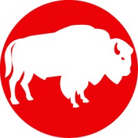 White Buffalo Consultants logo, White Buffalo Consultants contact details