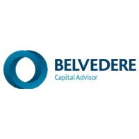 Belvedere Capital Advisor logo, Belvedere Capital Advisor contact details