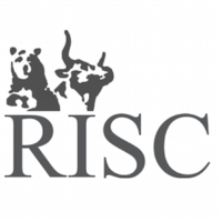 RISC Re-Insurance Services & Consulting logo, RISC Re-Insurance Services & Consulting contact details