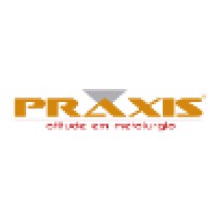 PRAXIS - DP Metal logo, PRAXIS - DP Metal contact details