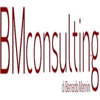 B.M.consulting logo, B.M.consulting contact details