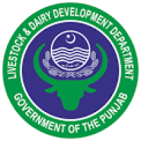 Livestock & Dairy Development Department Punjab, Pakistan logo, Livestock & Dairy Development Department Punjab, Pakistan contact details