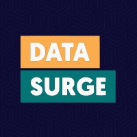 dataSURGE logo, dataSURGE contact details