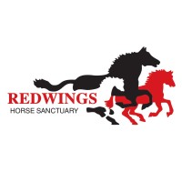 Redwings Horse Sanctuary logo, Redwings Horse Sanctuary contact details