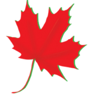 Maple Leaf Harvest logo, Maple Leaf Harvest contact details