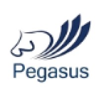 Pegasus Management Consulting Company Ltd. logo, Pegasus Management Consulting Company Ltd. contact details