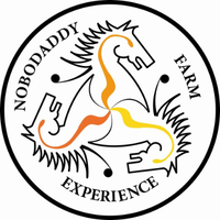 Team Horse Sense at Nobodaddy Farm logo, Team Horse Sense at Nobodaddy Farm contact details