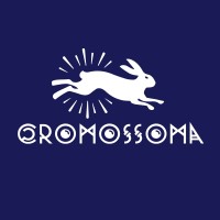 Agência Cromossoma logo, Agência Cromossoma contact details